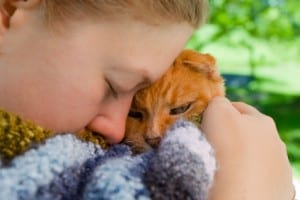 Why Pet adoption is better than buying