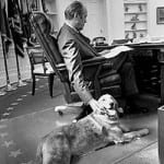 President Gerald Ford's Dog Liberty