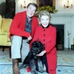 President Ronald Regan's Dog Lucky