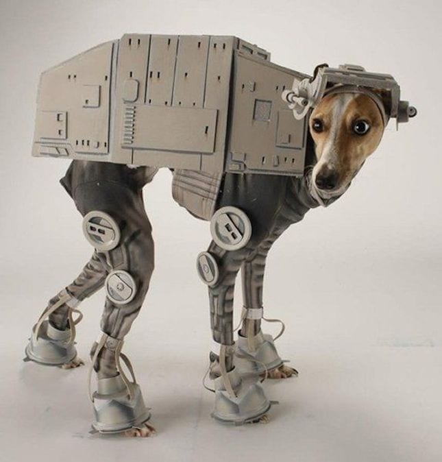 Fun Pet Halloween Costumes - Scottsdale Pet Hotel - Pet Costumes